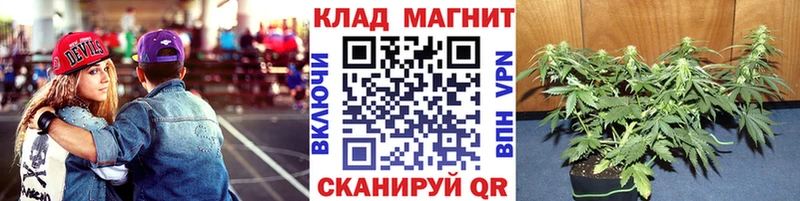 ГАШИШ Власиха