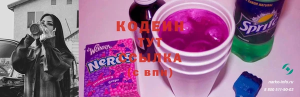 spice Корсаков