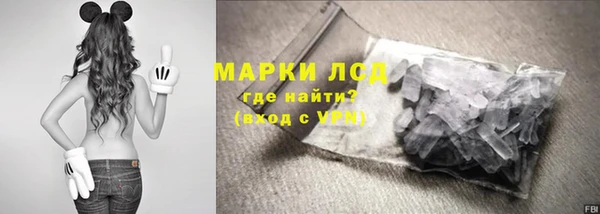 spice Корсаков