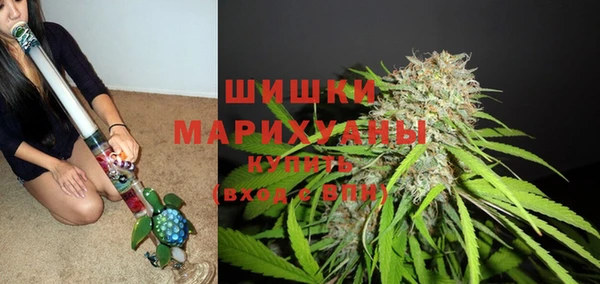 spice Корсаков