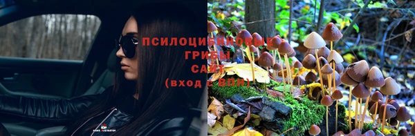 синтетический гашиш Костерёво