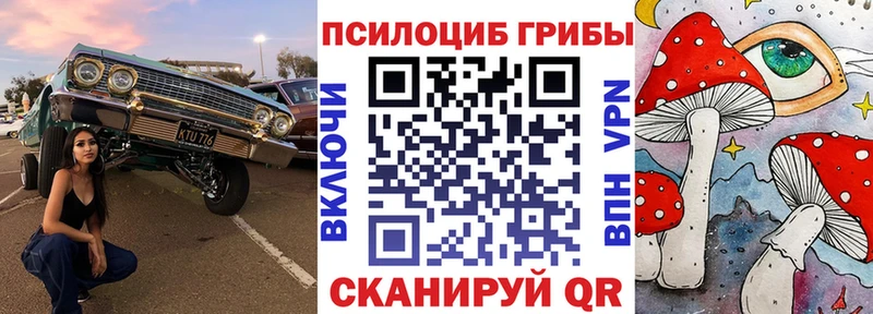 Псилоцибиновые грибы GOLDEN TEACHER  Купить закладки  Власиха 